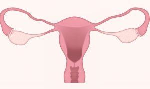9 Penyebab Haid Atau Menstruasi Datang Terlambat