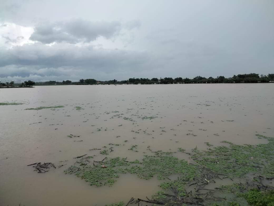 60 Kolam Lele Terimbas Luapan Air Sungai Silugonggo