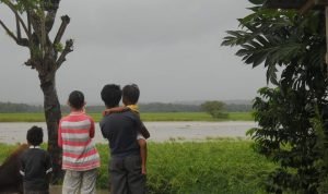 Luapan Sungai Akibatkan 145 Ha Sawah Tergenang Banjir