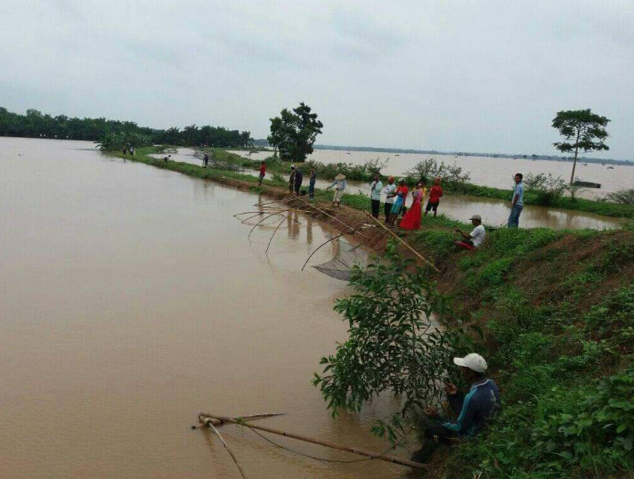 Sungai Silugonggo Meluap, 1,8 Ha Kolam Lele di Ngantru Terendam