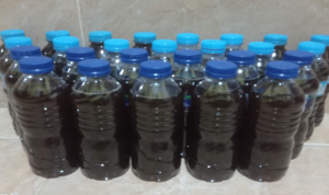 Tekan Penggunaan Pupuk Kimia dengan Elisitor Biosaka