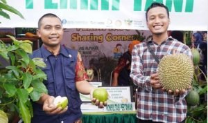 Varietas Buah Alpukat Lokal Jadi Juara di Festival Buah Nusantara Batang
