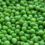 Berbagai Manfaat Kacang Polong untuk Kesehatan