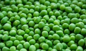 Berbagai Manfaat Kacang Polong untuk Kesehatan