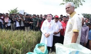 Petani Peroleh Harga Cukup Tinggi di Panen Raya Grobogan