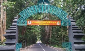 Inilah 5 Kisah Misterius Tentang Alas Purwo yang Menjadi Hutan Tertua di Pulau Jawa