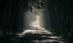 Alas Roban, Hutan Asri yang Penuh dengan Misteri