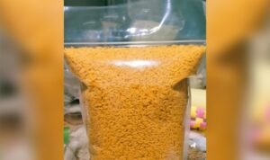 Gapoktan Sido Makmur Luncurkan Inovasi Baru Berupa Beras Analog