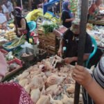 Foto: Kepokmas jenis ayam dan telur patut diwaspadai naik harganya (Sumber: Anwar/Pesantenanpati) 