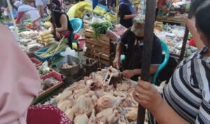 Foto: Kepokmas jenis ayam dan telur patut diwaspadai naik harganya (Sumber: Anwar/Pesantenanpati) 