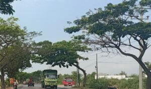 Foto : suasana jalan pantura Juwana Batangan (Sumber : Pesantenanpati.com/Putri Asia)