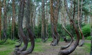 9 Hal Misterius di Bumi yang Tak Bisa Dijelaskan Oleh Ilmuwan