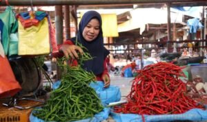 Foto : Ketersediaan bahan pangan bawang merah, cabai, hingga telur (Sumber : istimewa)