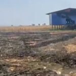 Foto : Saat pemadaman dan pendinginan kebun jagung di Kecamatan Sukolilo (Sumber : Dok. Damkar Pati)
