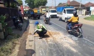 Foto: Ilustrasi kecelakaan lalu lintas (Sumber: istimewa)