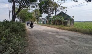 Foto : Perbaikan jalan dengan menggunakan jalur Inpres di salah satu titik di Kabupaten Pati (Sumber : pesantenanpati.com/ Istimewa)