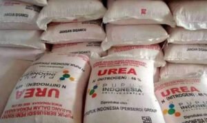 Foto : Pupuk urea bersubsidi (Sumber : Istimewa)