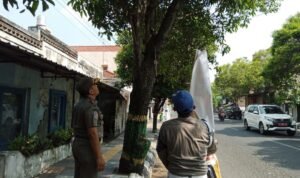 Foto : Penertiban reklame oleh satpol PP Kabupaten Pati (Sumber : Mitrapost / Dokumentasi Satpol PP Pati)