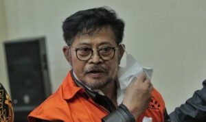 Foto: Syahrul Yasin Limpo (SYL) (Sumber: istimewa)