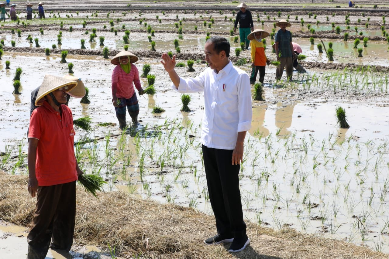 Foto: Kunjungan Jokowi ke Pekalongan (Sumber: jatengprov)