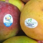 Inilah Arti Kode yang Ada di Buah