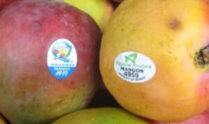 Inilah Arti Kode yang Ada di Buah