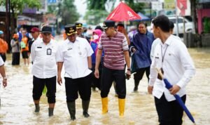 Henggar tinjau banjir