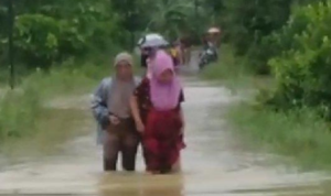Ibu hamil