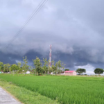 mendung