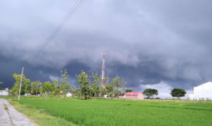 mendung