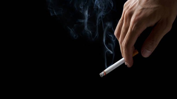 rokok