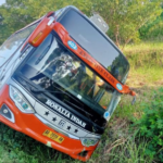 Bus rosalia indah