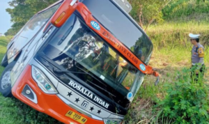 Bus rosalia indah