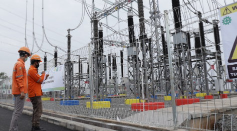 PLN