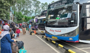 Ilustrasi bus pariwisata