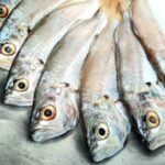 Ikan bandeng