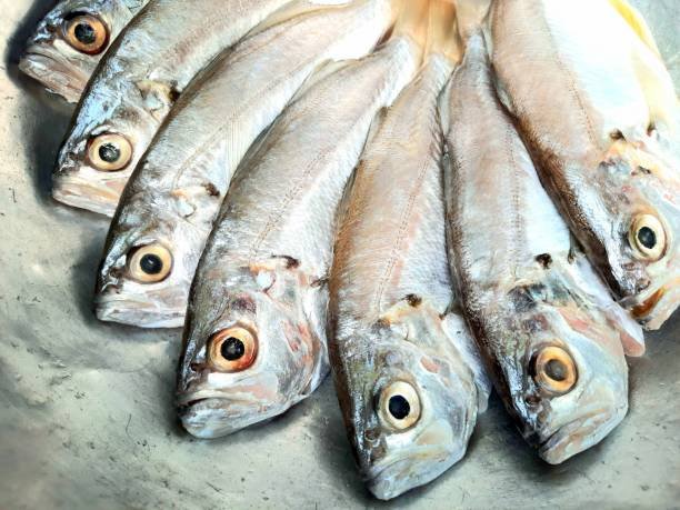 Ikan bandeng