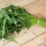 kangkung