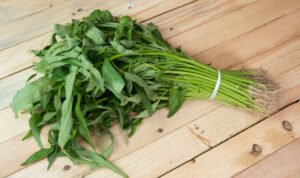 kangkung