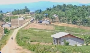 Foto: Ilustrasi wilayah Sulawesi yang akan ditempati transmigran (Sumber: Pemprov Jateng)