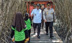 Wisata Jembatan Merah Hutan Mangrove (Dok. Pemkab Rembang)
