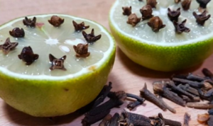 Foto: Cengkih dan lemon untuk mengusir nyamuk (Sumber: Istimewa)