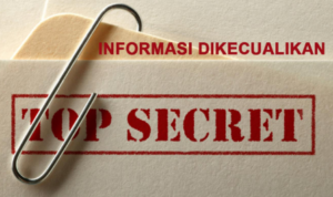 Informasi yang dikecualikan