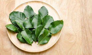 Daun jeruk (Dok. iStock)