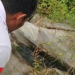 Pemkab Temanggung Gelar Gerakan Pembasmi DBD (Dok. Pemprov Jateng)