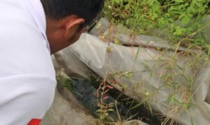 Pemkab Temanggung Gelar Gerakan Pembasmi DBD (Dok. Pemprov Jateng)