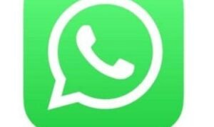 Fitur WhatsApp Repost Story Mirip Instagram Segera Hadir