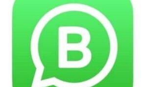 Inilah Cara Menambahkan Fitur Katalog di WhatsApp Business