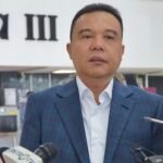 Wakil Ketua DPR Sufmi Dasco Ahmad /istimewa