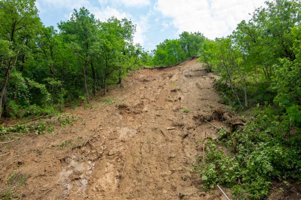 Ilustrasi longsor/istock Ilustrasi longsor/istock